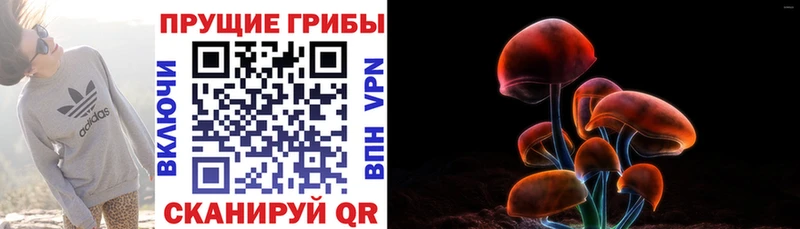 Галлюциногенные грибы мухоморы  blacksprut tor  Альметьевск  купить наркоту 